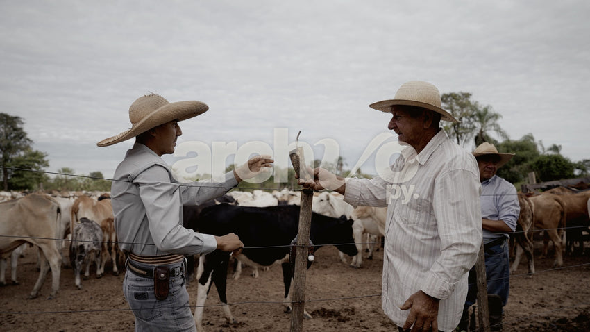 Hombres tomando tereré junto al corral