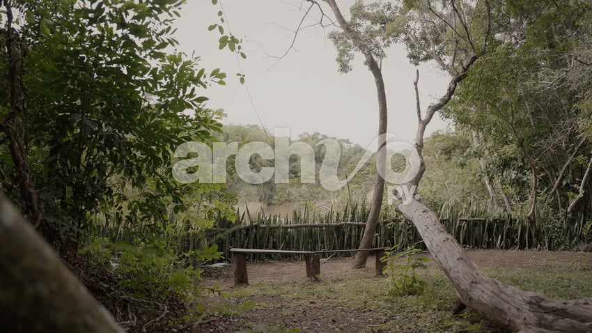 Bancos de madera en el bosque