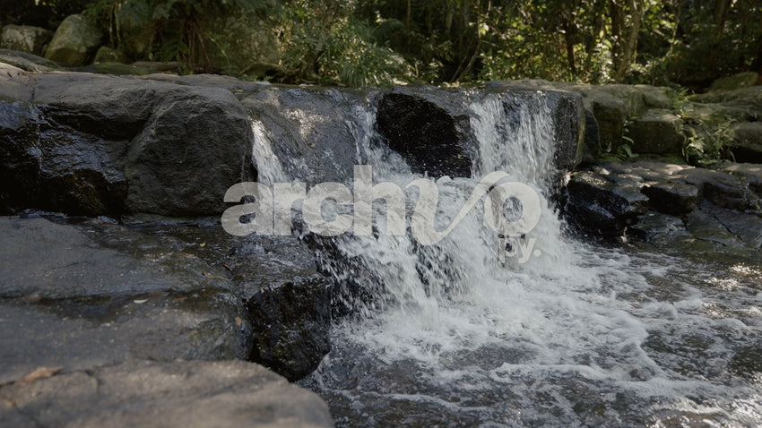 Cascada en el bosque de Concepción, toma fija en cámara lenta