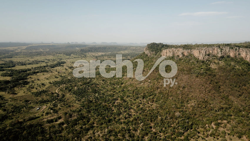 Vista aérea de meseta y vegetación tupida