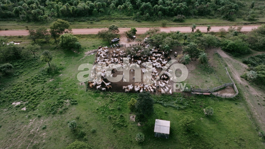Ganado en el corral desde el aire