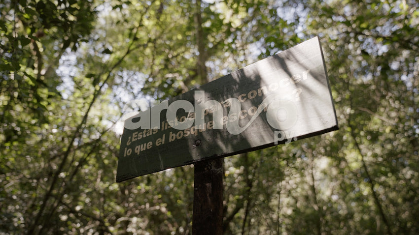 Cartel en sendero de bosque en Concepción, contrapicado