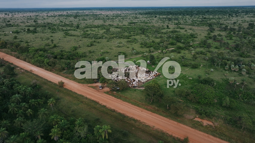Ganado en el corral desde la vista aérea
