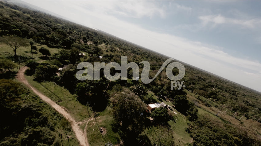 Sobrevuelo FPV sobre campos y vegetación en Concepción, toma aérea
