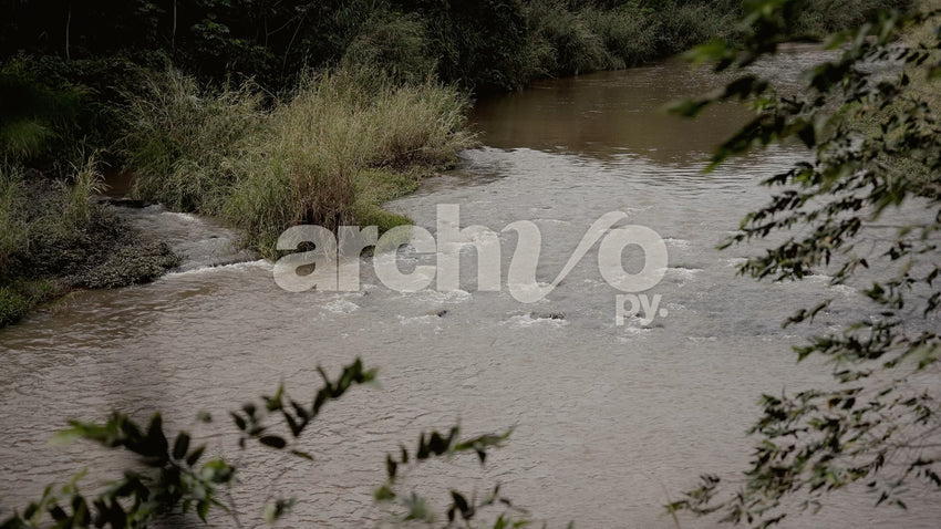 Corriente de río fluyendo entre la vegetación