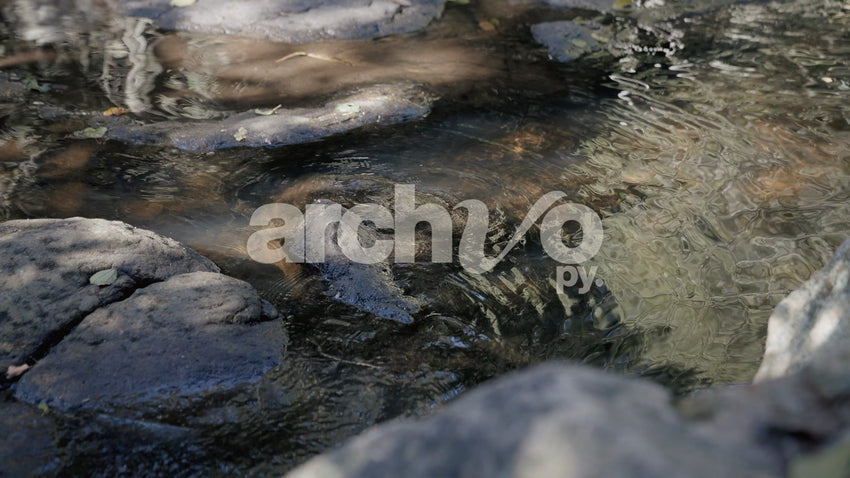 Corriente de agua sobre piedras en Concepción, plano fijo