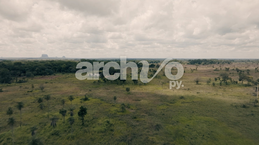 Sabana verde con árboles y cielo nublado
