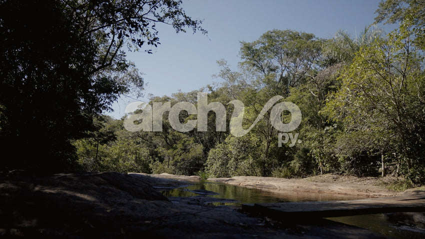 Arroyo y puente de madera en bosque de Concepción, plano fijo