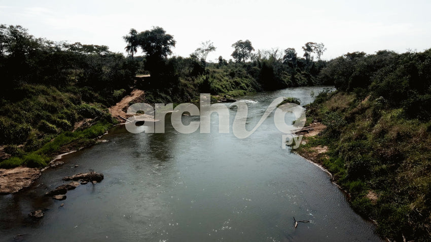 Vista aérea de río serpenteante en el bosque