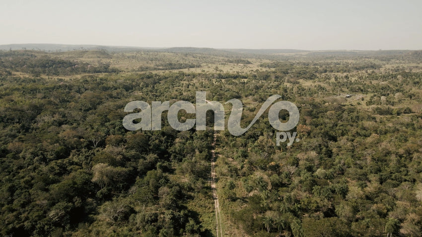Vista aérea de cerros y caminos rurales entre árboles