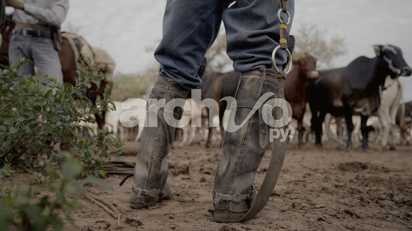 Botas de cuero con espuelas en Concepción, primer plano
