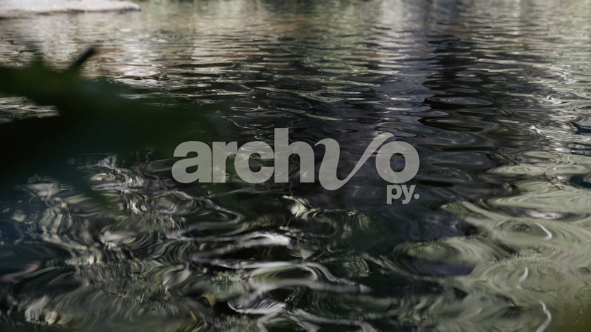 Ondas y reflejos en la superficie del agua en Concepción, plano fijo