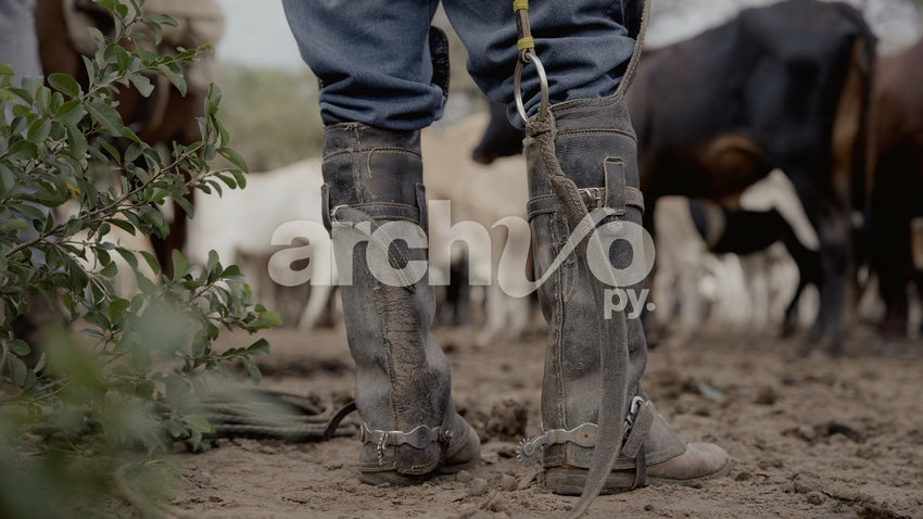 Botas de cuero y espuelas de ganadero en Concepción, plano fijo