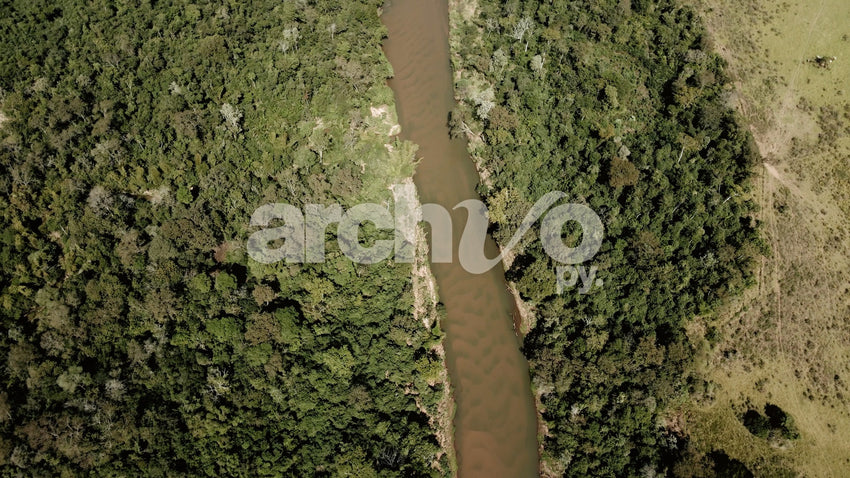 Río serpenteando entre árboles en el bosque