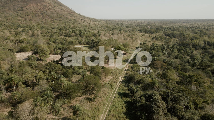 Zona boscosa con cerro y camino rural