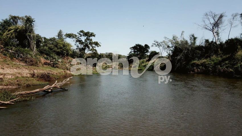 Río rodeado de árboles y vegetación