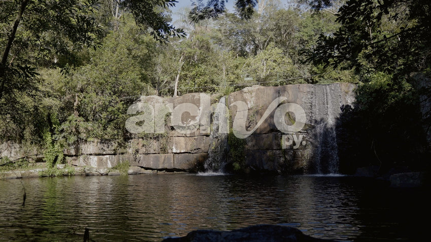 Cascada y estanque rodeados de vegetación en Concepción, plano fijo