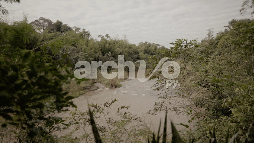 Río caudaloso rodeado de vegetación verde